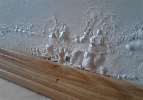 Water ingress and damp patches bubbling paint near skirting board