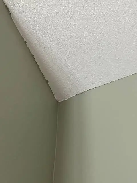 Poor paint cut-in showing paint bleeding onto a wooden skirting board